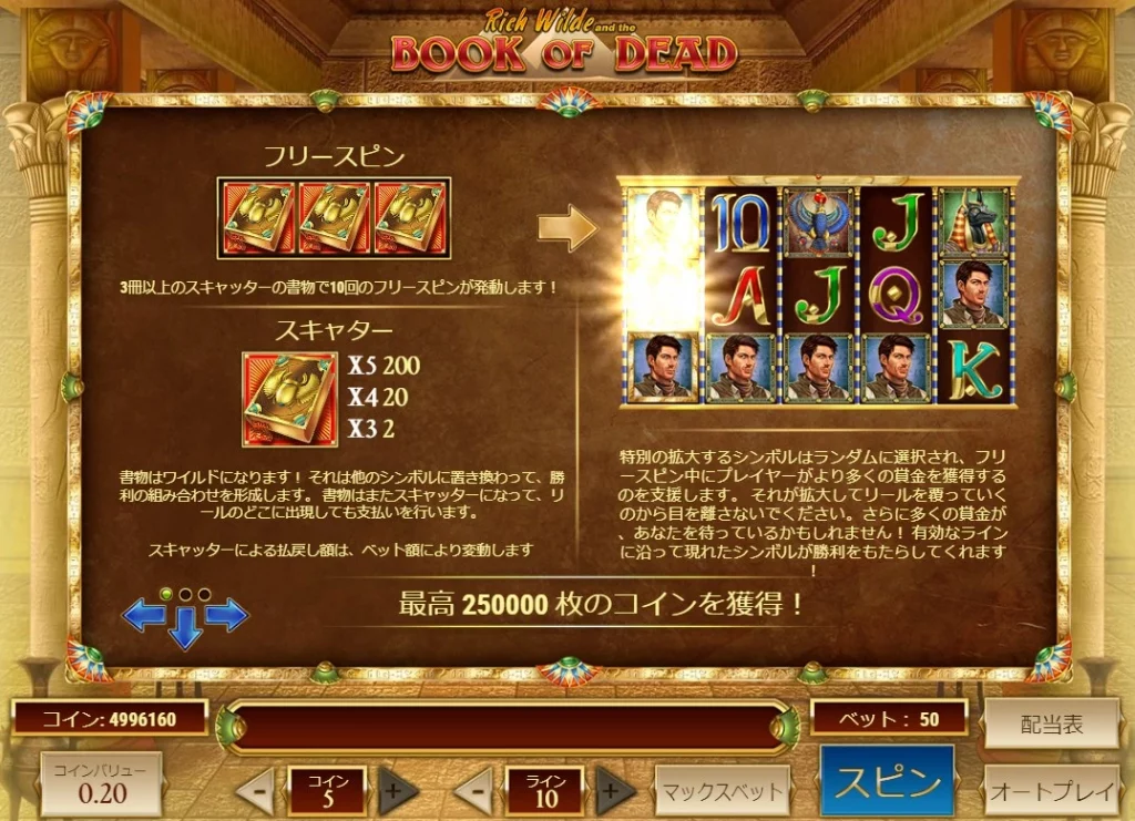 Book of Dead プレイ画像１