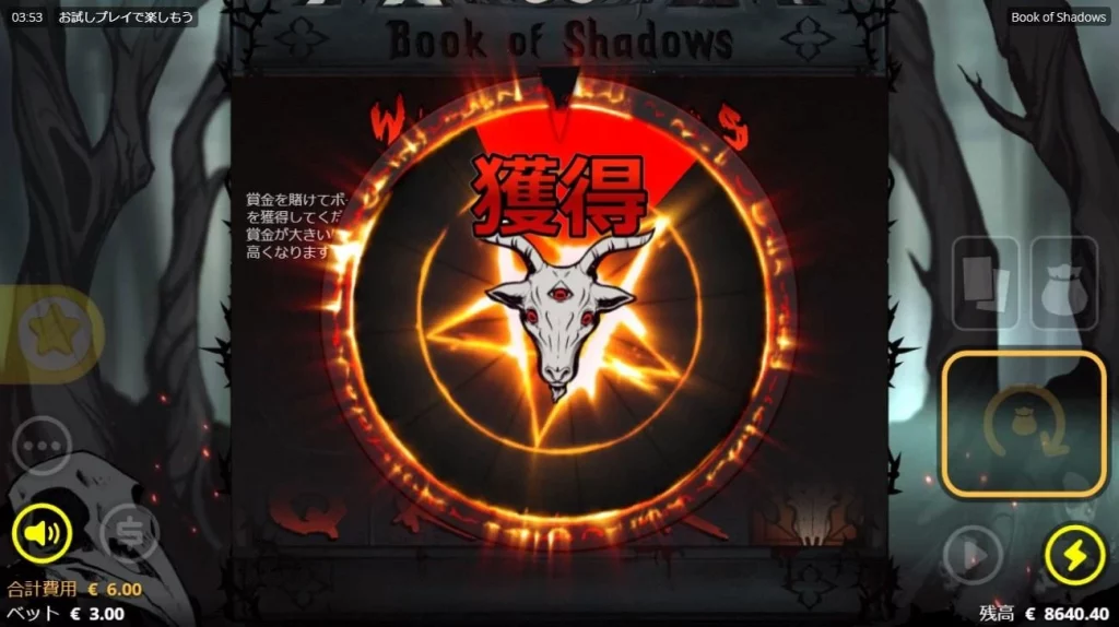 Book Of Shadows 14
