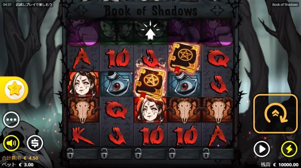 Book Of Shadows 17